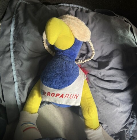 IMG 1788